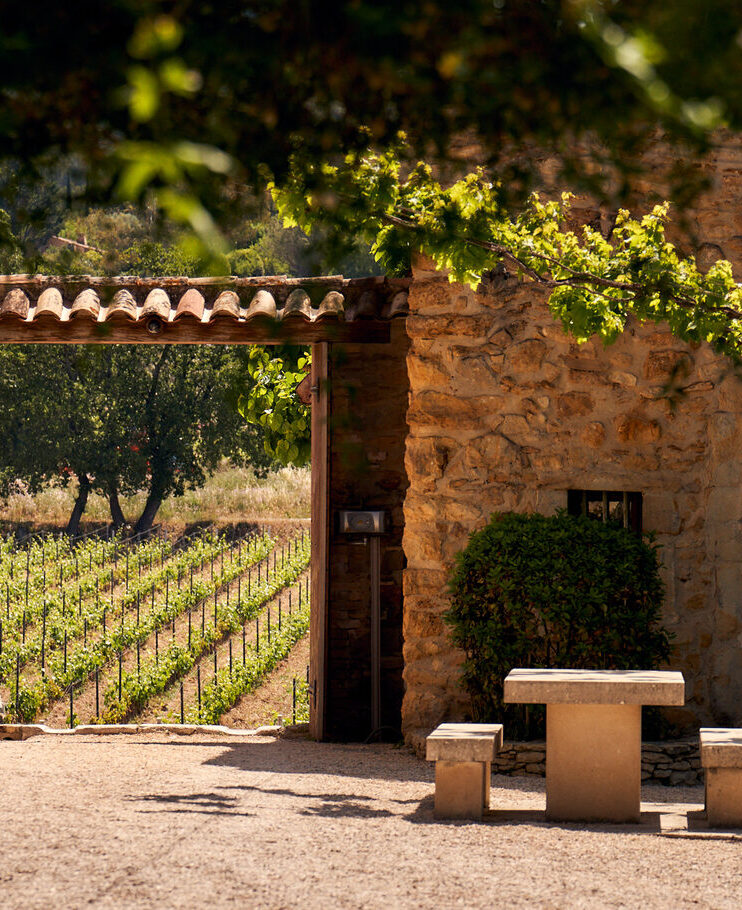 le-chateau-romassan-et-ses-vignes
