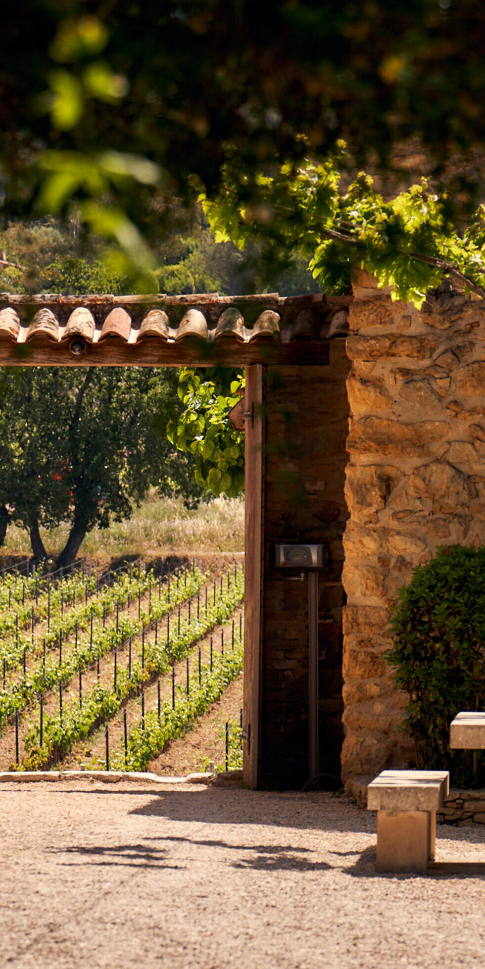 le-chateau-romassan-et-ses-vignes