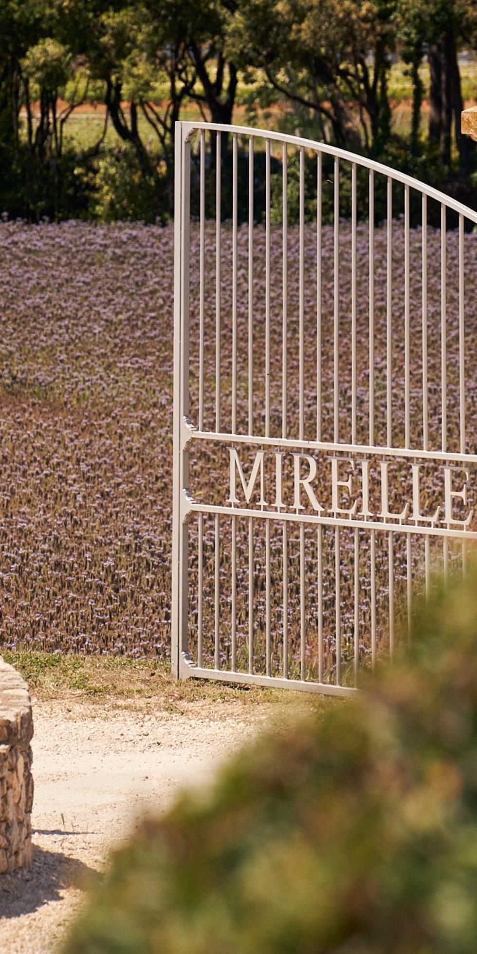 le-portail-entrouvert-du-clos-mireille-et-les-jacheres