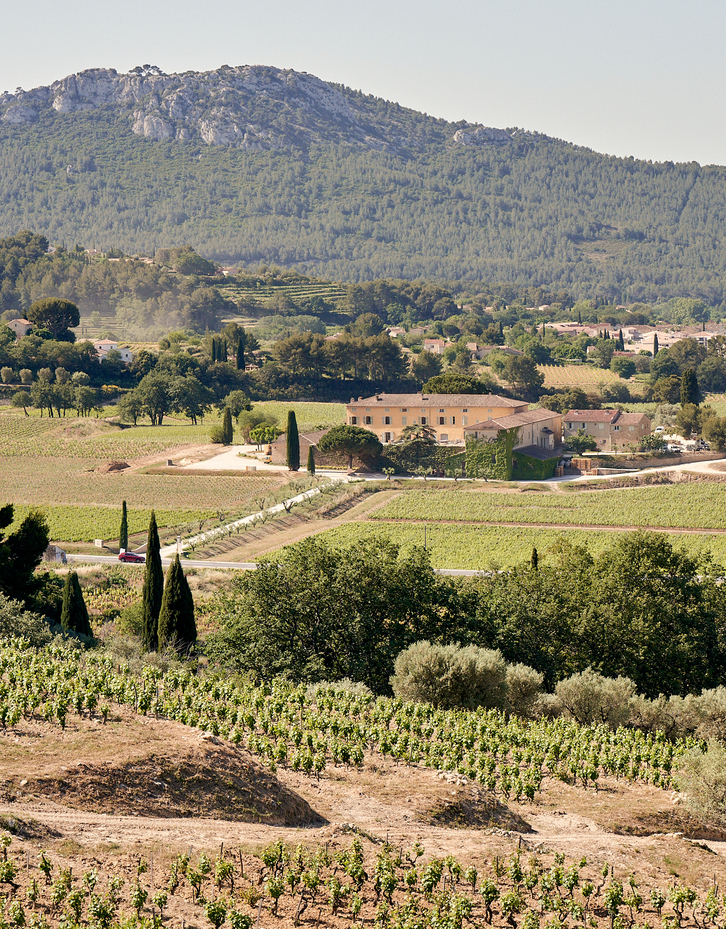 vue-sur-le-chateau-romassan-et-ses-vignes-aux-alentours