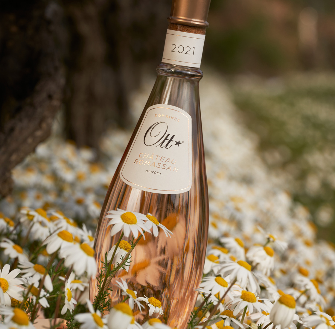 une-bouteille-de-chateau-romassan-rose-au-milieu-de-marguerites