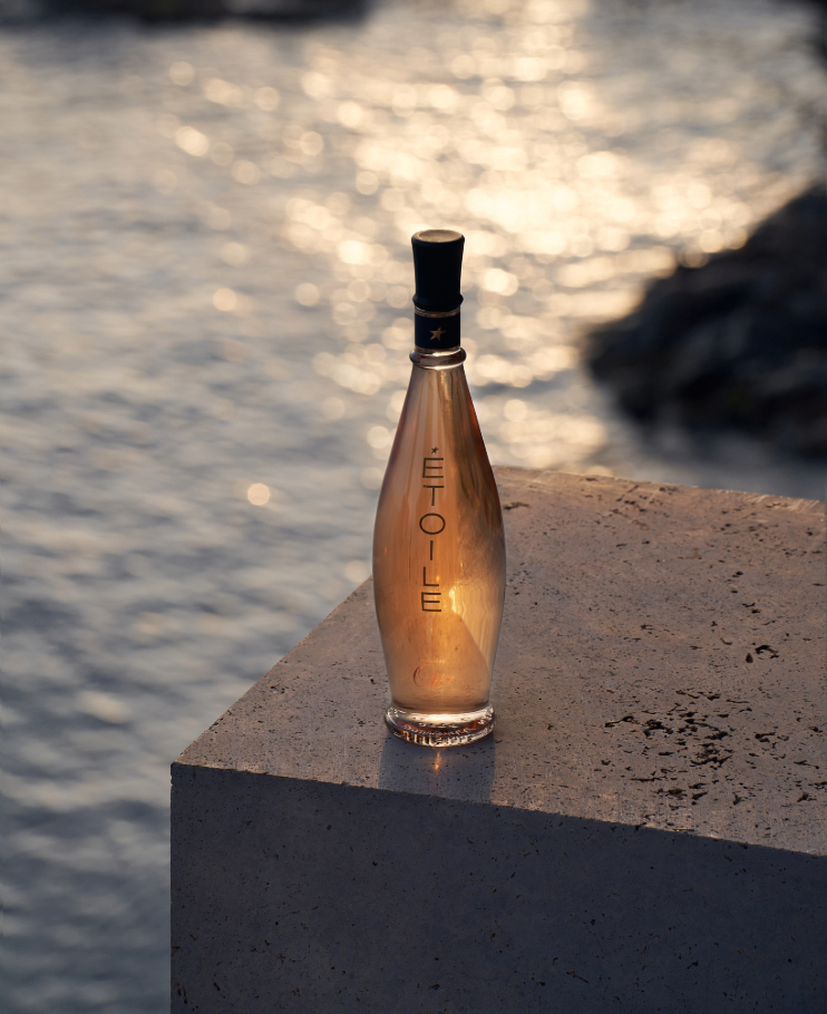 le-vin-etoile-surplombant-la-mer-mediterranee-en-provence