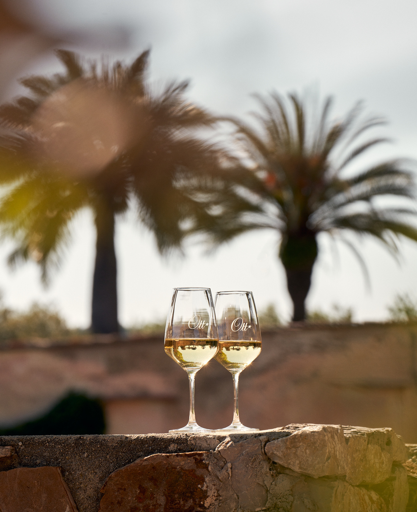 deux-verres-de-vin-blanc-de-provence-pres-des-palmiers